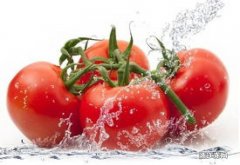 吃西红柿有什么禁忌 吃西红柿有什么禁忌和副作用