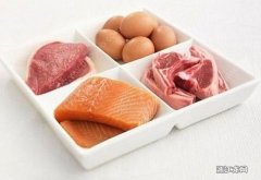 什么食物的蛋白质含量最高 蛋白质含量最高的食物是什么